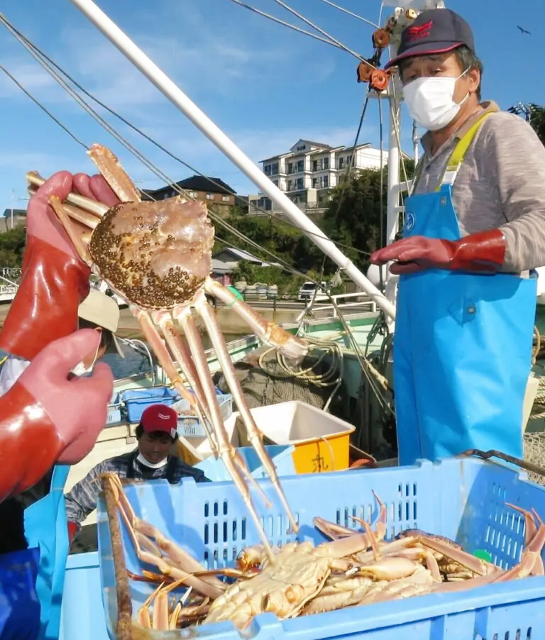 京都 日帰りカニ昼食プランのある おすすめ旅館 宿 ぜいたくデイユース